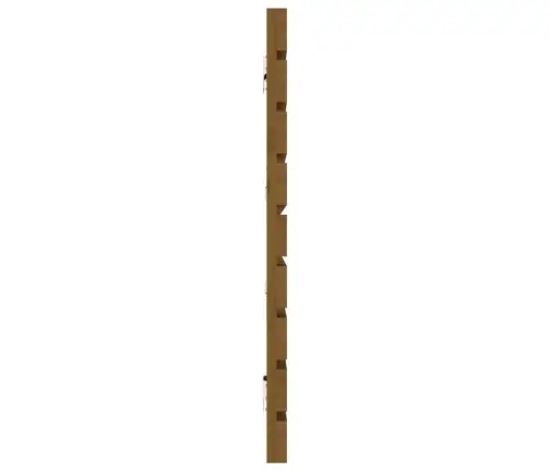 Sieninis Galvūgalis, Medaus Rudas, 206X3X63cm Pušies Masyvas