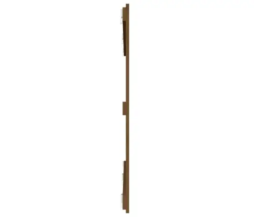 Sieninis Galvūgalis, Medaus Rudas, 159,5X3X90cm Pušies Masyvas