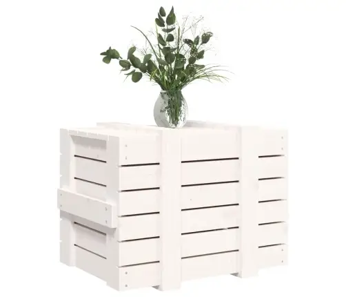 Uzglabāšanas Kaste, Balta, 58X40,5X42 Cm, Priedes Masīvkoks Vidaxl