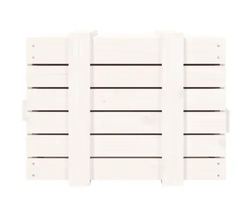 Uzglabāšanas Kaste, Balta, 58X40,5X42 Cm, Priedes Masīvkoks Vidaxl