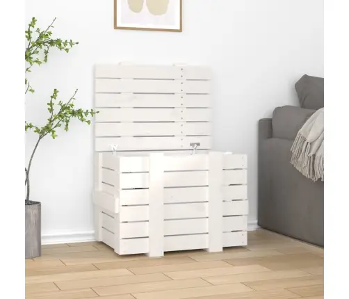 Uzglabāšanas Kaste, Balta, 58X40,5X42 Cm, Priedes Masīvkoks Vidaxl