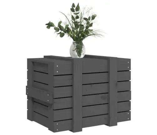 Uzglabāšanas Kaste, Pelēka, 58X40,5X42 Cm, Priedes Masīvkoks Vidaxl