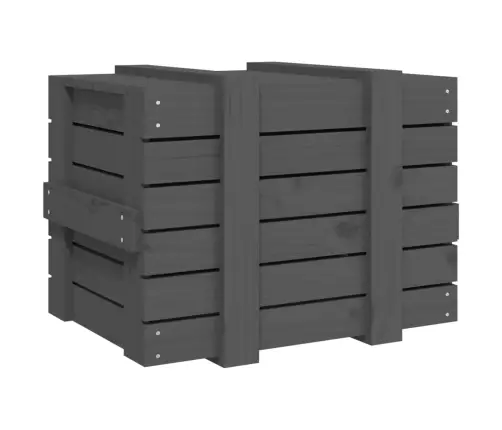 Uzglabāšanas Kaste, Pelēka, 58X40,5X42 Cm, Priedes Masīvkoks Vidaxl