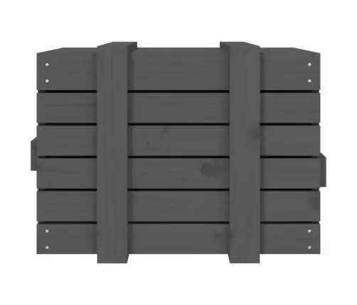 Uzglabāšanas Kaste, Pelēka, 58X40,5X42 Cm, Priedes Masīvkoks Vidaxl