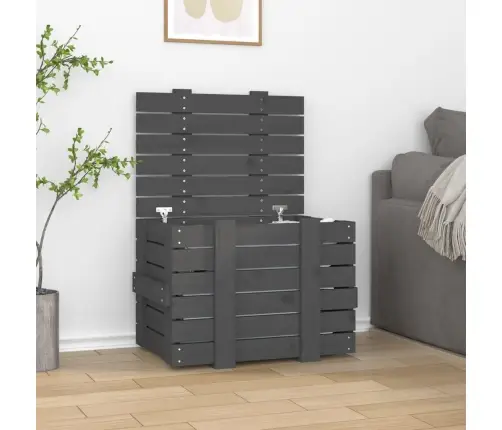 Uzglabāšanas Kaste, Pelēka, 58X40,5X42 Cm, Priedes Masīvkoks Vidaxl