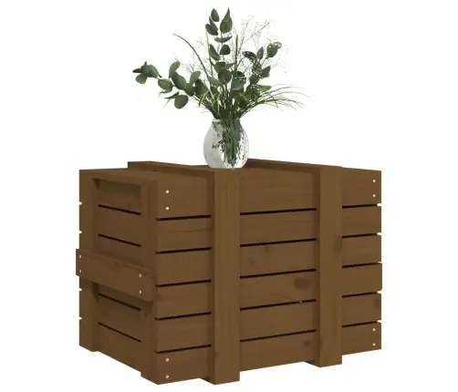Uzglabāšanas Kaste, Brūna, 58X40,5X42 Cm, Priedes Masīvkoks Vidaxl