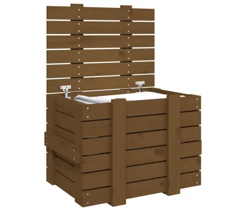 Uzglabāšanas Kaste, Brūna, 58X40,5X42 Cm, Priedes Masīvkoks Vidaxl