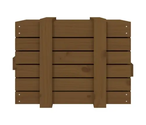 Uzglabāšanas Kaste, Brūna, 58X40,5X42 Cm, Priedes Masīvkoks Vidaxl
