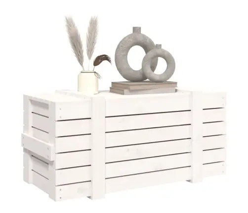 Hoiukast, Valge, 91X40,5X42 cm Männipuit