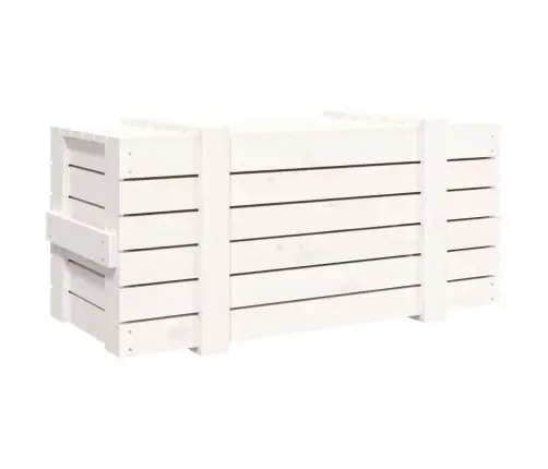 Hoiukast, Valge, 91X40,5X42 cm Männipuit