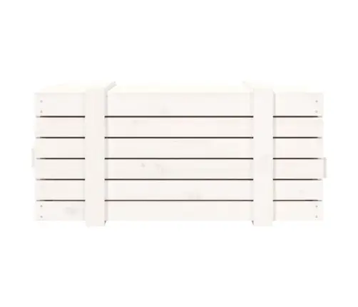 Hoiukast, Valge, 91X40,5X42 cm Männipuit