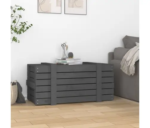 Uzglabāšanas Kaste, Pelēka, 91X40,5X42 Cm, Priedes Masīvkoks Vidaxl