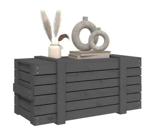 Uzglabāšanas Kaste, Pelēka, 91X40,5X42 Cm, Priedes Masīvkoks Vidaxl