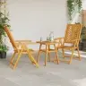 Dārza Bistro Komplekts 3 Pcs Brūna Akācijas Masīvkoks Vidaxl