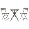 3-Daļīgs Bistro Mēbeļu Komplekts, Saliekams, Pe Rotangpalma Vidaxl