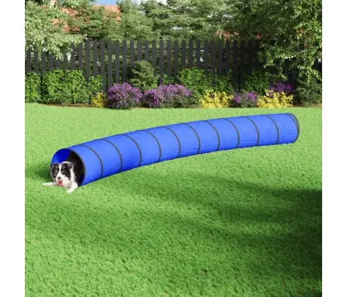 Koeratunnel, Sinine, Ø55X500 cm Polüester