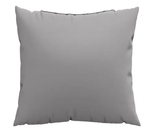 Diivanipadjad 4 Tk, Hall, 40 X 40 cm Kangas