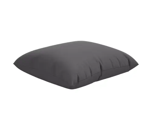 Diivanipadjad 4 Tk, Antratsiithall, 50 X 50 cm Kangas