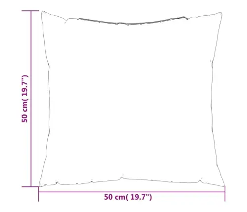 Diivanipadjad 4 Tk, Antratsiithall, 50 X 50 cm Kangas