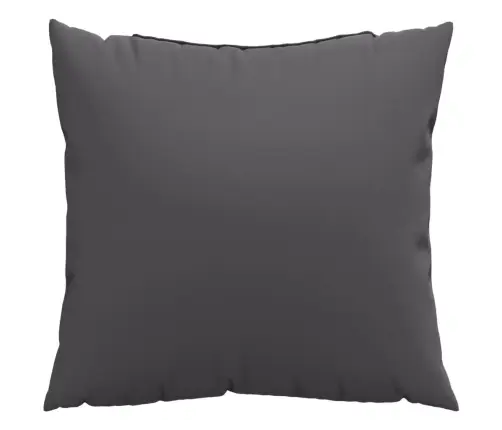 Diivanipadjad 4 Tk, Antratsiithall, 60 X 60 cm Kangas