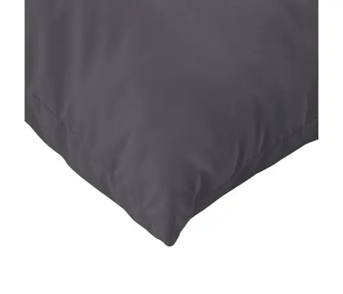 Diivanipadjad 4 Tk, Antratsiithall, 60 X 60 cm Kangas