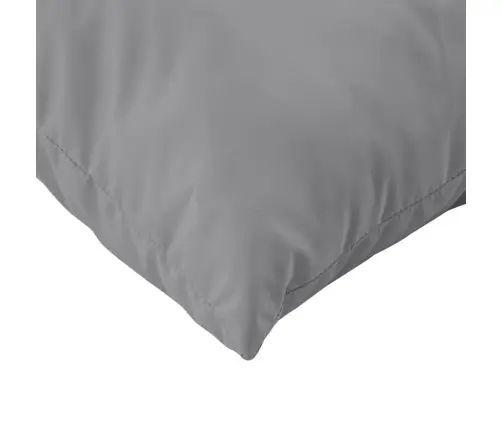 Diivanipadjad 4 Tk, Hall, 60 X 60 cm Kangas