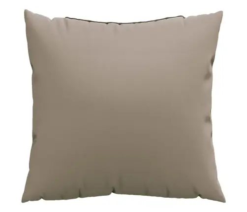 Diivanipadjad 4 Tk, Pruunikashall, 60 X 60 cm Kangas