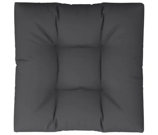 Paletės Pagalvėlė, Juodos Spalvos, 70X70X12cm Audinys
