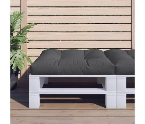 Dīvāna Spilvens, 80X80X12 Cm, Audums, Melns Vidaxl