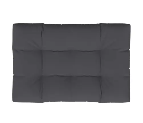 Euroaluse Istmepadi, Antratsiit, 120X80X12 cm Kangas