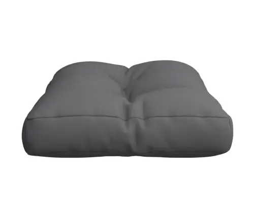 Palešu Spilvens, 60X40X12 Cm, Audums, Antracītpelēks Vidaxl