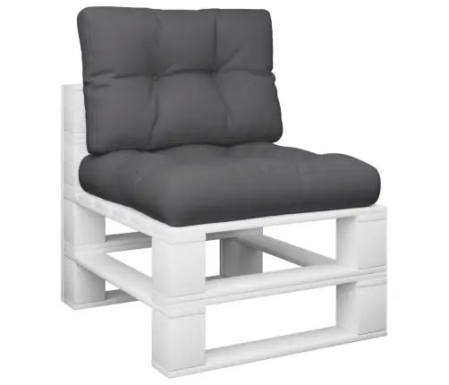 Palečių Pagalvėlės, 2Vnt., Antracito Spalvos, Audinys