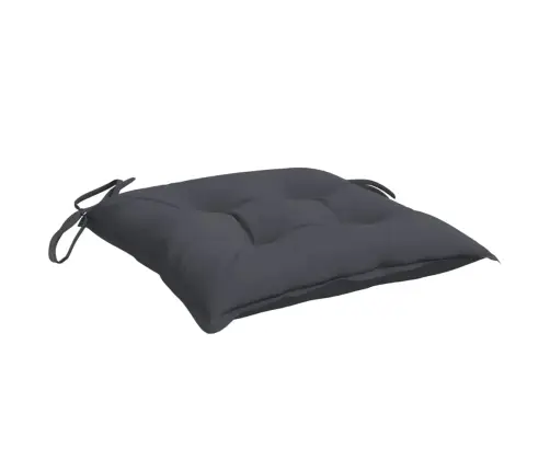 Tooli Istmepadjad 2 Tk Antratsiithall 50X50X7 Cm Kangas