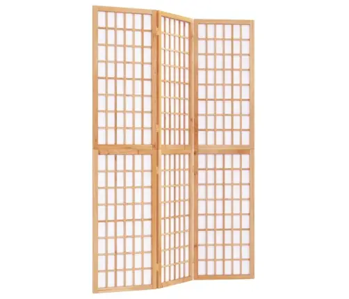 Kambario Pertvara, 3 Segmentai, 120X170cm Japoniška