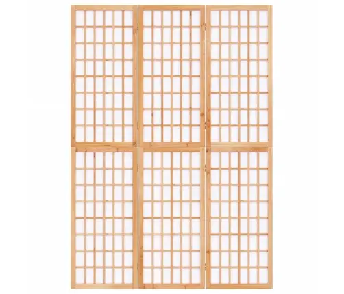 Kambario Pertvara, 3 Segmentai, 120X170cm Japoniška