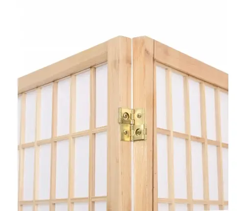 Kambario Pertvara, 3 Segmentai, 120X170cm Japoniška