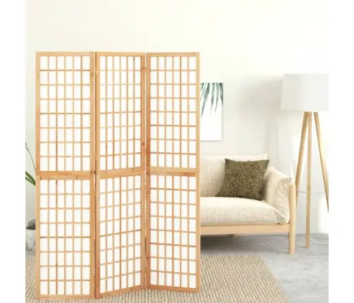 Kambario Pertvara, 3 Segmentai, 120X170cm Japoniška