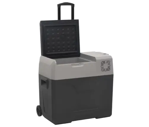Rataste Ja Käepidemega Jahutuskast, Must Ja Hall, 30 L, Pp