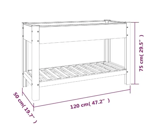 Aia Taimelava Riiuliga, Hall, 120X50X75 cm Wpc