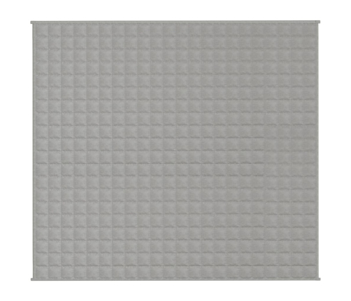 Smaguma Sega, Pelēka, 200X220 Cm, 13 Kg, Audums Vidaxl