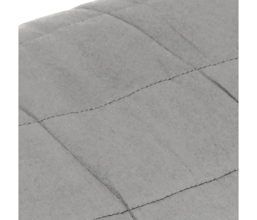 Smaguma Sega, Pelēka, 200X220 Cm, 13 Kg, Audums Vidaxl