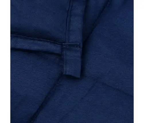 Smaguma Sega, Zila, 200X220 Cm, 9 Kg, Audums Vidaxl