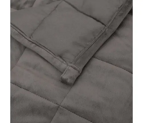 Smaguma Sega, Pelēka, 122X183 Cm, 9 Kg, Audums Vidaxl