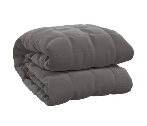 Smaguma Sega, Pelēka, 137X200 Cm, 6 Kg, Audums Vidaxl