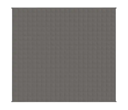 Smaguma Sega, Pelēka, 200X220 Cm, 9 Kg, Audums Vidaxl