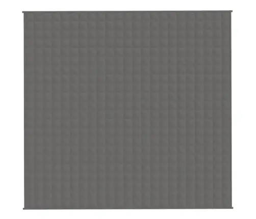 Smaguma Sega, Pelēka, 220X230 Cm, 11 Kg, Audums Vidaxl