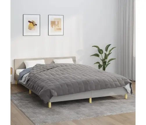 Smaguma Sega, Pelēka, 220X240 Cm, 11 Kg, Audums Vidaxl