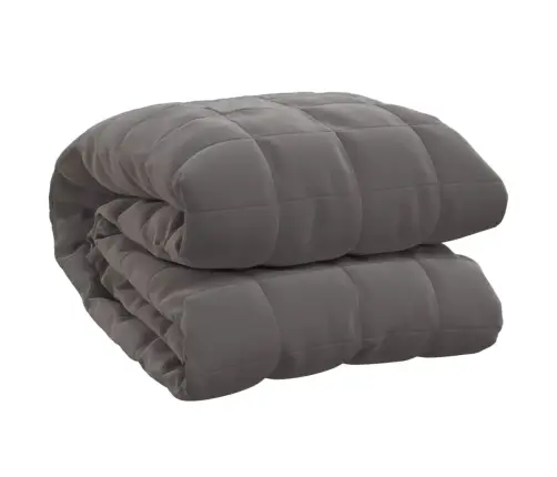 Smaguma Sega, Pelēka, 220X240 Cm, 15 Kg, Audums Vidaxl