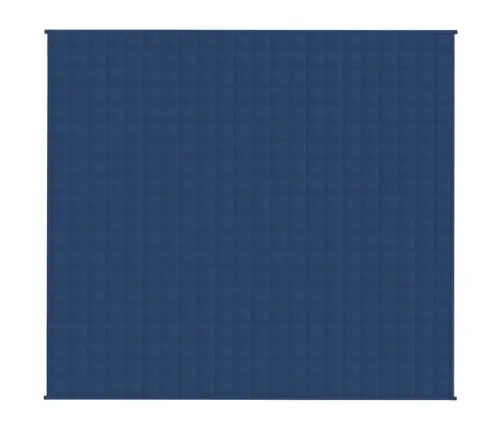 Smaguma Sega, Zila, 200X230 Cm, 13 Kg, Audums Vidaxl