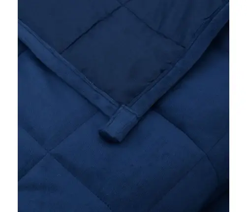 Smaguma Sega, Zila, 220X240 Cm, 11 Kg, Audums Vidaxl